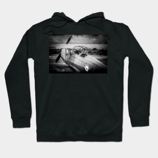 Take Flight Hoodie